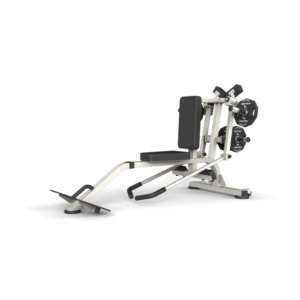 Bentover Lateral Raize