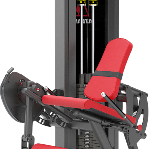Leg extension