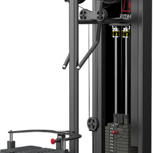 Standing lateral raise