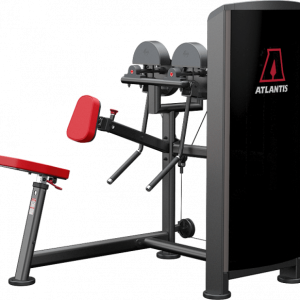 Seated side / Rear deltoid