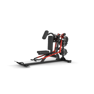 Bentover Lateral Raize