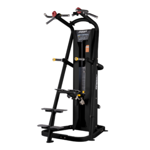 Chin/Dip Assist ㅣ RS-2700